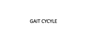 Gait Cycle: Phases, Muscle Activity, and Gait Disorders