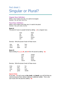 Singular and Plural Nouns: Grammar Worksheet
