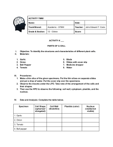 Plant Cell Structure Activity: High School STEM