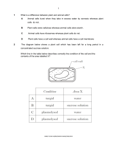 Grade 10 Biology Exam Paper - Cell Biology & More