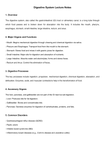Digestive System: Organs, Processes, and Disorders