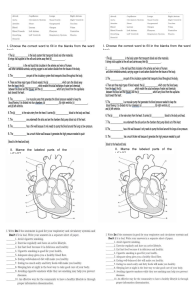 Circulatory System Worksheet: Heart & Blood Vessels