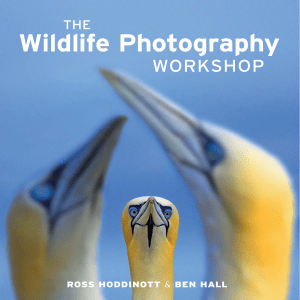 Wildlife Photography Workshop: Techniques & Tips