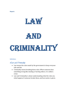 Law and Criminality Role Play Report