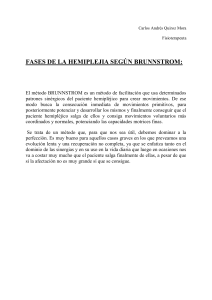 Etapas de la Hemiplejia de Brunnstrom: Una Guía de Fisioterapia