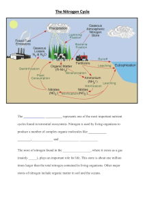 The Nitrogen Cycle Explained: Biology & Ecology Basics