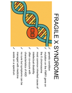 Fragile X Syndrome: Teacher's Guide & Support Strategies