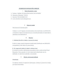 Informe Forense de Papiloscop&iacute;a: An&aacute;lisis de Huellas