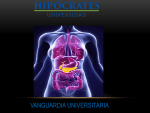 Sistema Digestivo Humano: Anatom&iacute;a y Funci&oacute;n