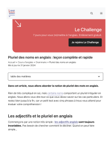 Noms pluriels anglais : le&ccedil;on compl&egrave;te et guide rapide