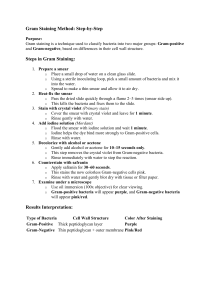 Gram Staining Method: Step-by-Step Guide