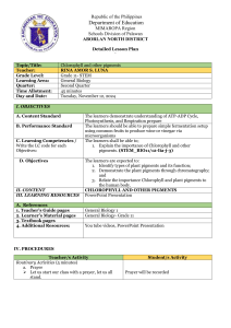 Chlorophyll & Pigments Lesson Plan: Grade 11 Biology