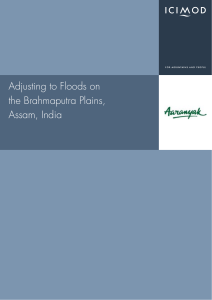Flood Adaptation Strategies: Brahmaputra Plains, Assam, India