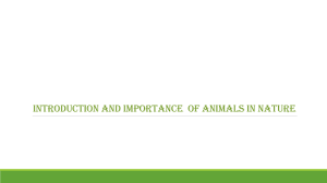 Animals in Nature: Importance, Types & Responsibility