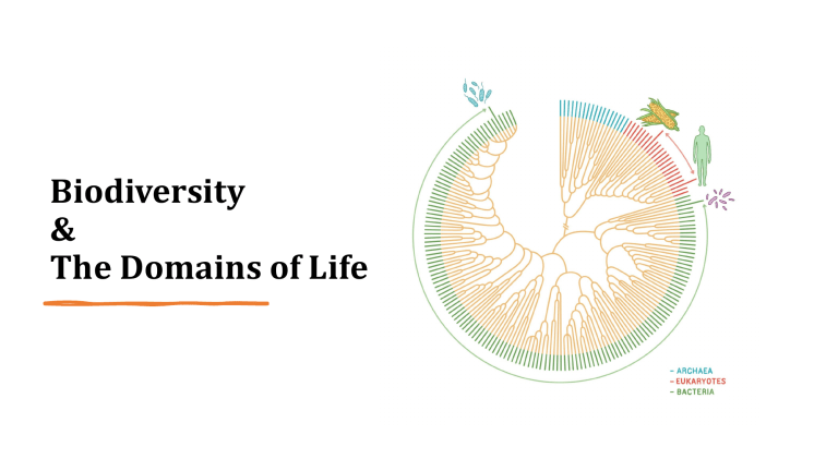 Biodiversity & Domains of Life: Presentation