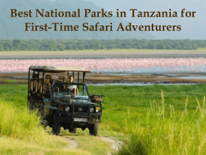 Tanzania Safari: Best National Parks for First-Timers