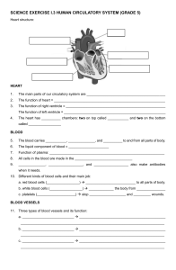 Human Circulatory System Worksheet - Grade 5 Science