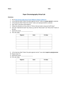 Paper Chromatography Virtual Lab Worksheet