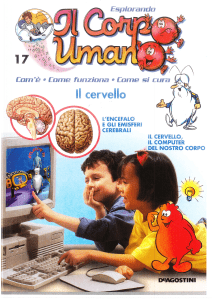 Il Cervello: Esplorando il Corpo Umano