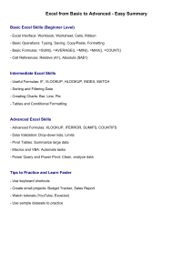 Excel Skills Summary: Basic to Advanced