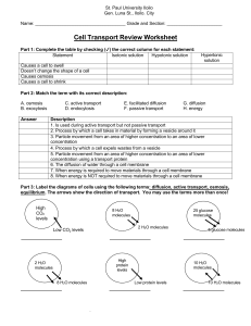 Cell Transport Review Worksheet