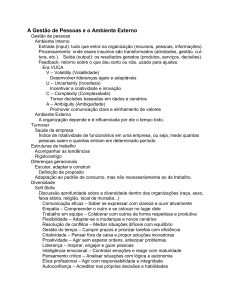 Gest&atilde;o de Pessoas e Ambiente Externo: Notas de Aula