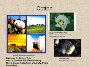 Cotton: Botany, Genetics, and Domestication