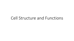 Cell Structure and Function: Organelles & Membranes