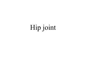 Hip Joint Conditions: SCFE, Perthes, Dislocation - Presentation