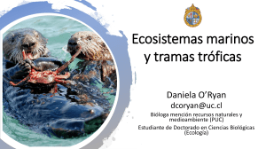 Ecosistemas marinos y tramas tr&oacute;ficas: estudio de redes tr&oacute;ficas marinas
