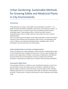 Urban Gardening: Sustainable Methods for City Environments