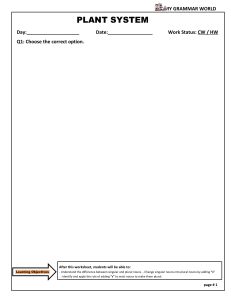 Singular and Plural Nouns Worksheet for Elementary Grammar