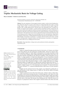 Triplin Voltage Gating: Mechanism & Kinetics