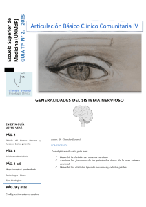 Gu&iacute;a del Sistema Nervioso: Divisi&oacute;n, Funciones y C&eacute;lulas