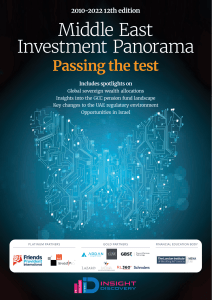 Middle East Investment Panorama 2010-2022: Passing the Test