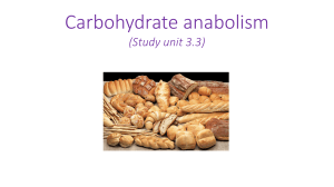 Carbohydrate Anabolism: Pathways & Regulation