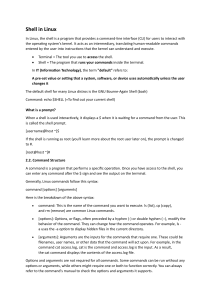 Linux Shell: Command Line Interface Basics
