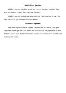 Middle Stone Age vs. New Stone Age: Lifestyles & Tools