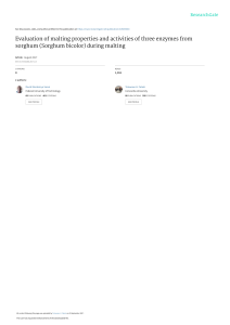 Sorghum Malting: Enzyme Activity & Properties Evaluation