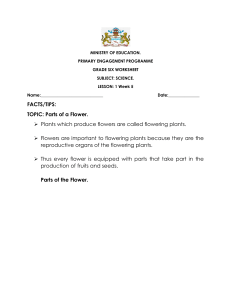Grade 6 Science: Flower Parts, Pollination & Fertilization