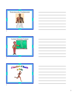Neuromuscular Fundamentals: Muscle Function & Fiber Types