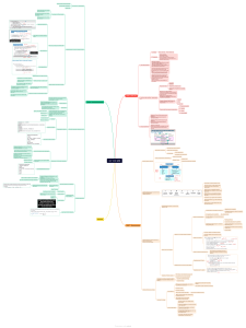 Capital Markets, Market Efficiency & Business Analysis Study Guide