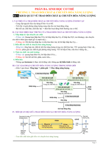 Biology: Metabolism & Energy Conversion Overview - Organismal Biology