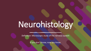 Neurohistology: Neurons, Neuroglia, & Nervous System Physiology