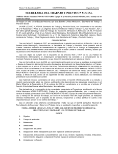 NOM-017-STPS-2008: Norma de Equipo de Protecci&oacute;n Personal