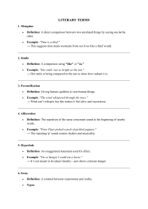 Literary Terms: Definitions & Examples