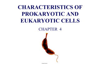 Characteristics of Prokaryotic and Eukaryotic Cells - Chapter 4
