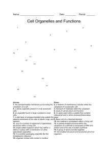 Cell Organelles & Functions Crossword Puzzle Worksheet