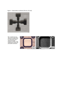 Cruciform Sample Microscopy: Surface Quality & Microstructure Analysis