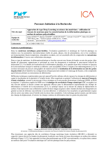 Deep Learning pour la d&eacute;formation plastique des m&eacute;taux polycristallins